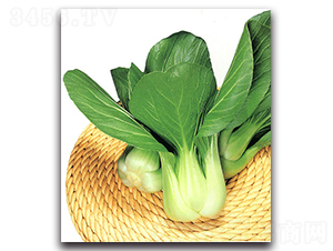 ����-�๣�˷N��-�r(n��ng)����