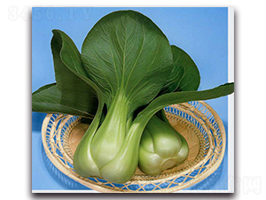 ����-�๣�˷N��-�r(n��ng)����