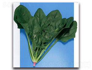 �|��-���˷N��-�r(n��ng)����