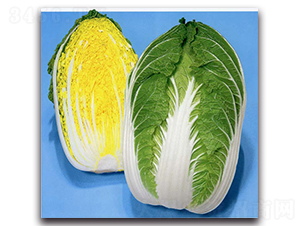 �츣���S-��ײ˷N��-�r(n��ng)����