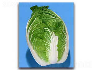 ���\-��ײ˷N��-�r(n��ng)����