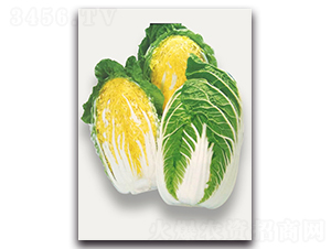 ���\-��ײ˷N��-�r(n��ng)����