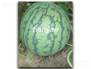 �h��8424����-���ϷN��-�h��