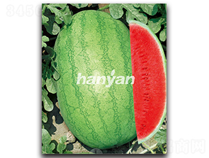 �h����̖(h��o)-���ϷN��-�h��