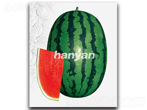 �h����̖(h��o)-���ϷN��-�h��