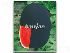 �hīһ̖(h��o)-���ϷN��-�h��