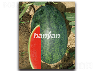 �h��-���ϷN��-�h��