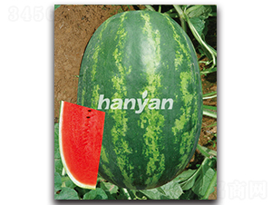 �h��-���ϷN��-�h��