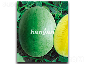 �h��һ̖(h��o)-���ϷN��-�h��