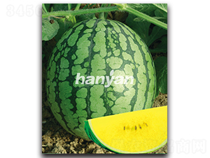 �h����̖(h��o)-���ϷN��-�h��