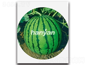 �h��һ̖(h��o)-���ϷN��-�h��