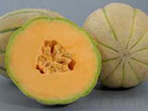 ��ľF1-��ϷN��-���N