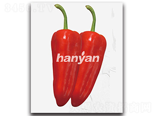 �h�T��̖-�𽷷N��-�h��