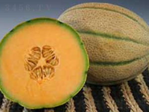 ���R��F1-��ϷN��-���N