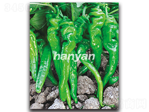 �h��һ̖-�����N��-�h��