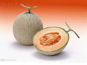 ������-��ϷN��-���N