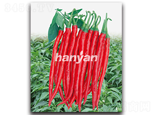 �h�Sһ̖-�����N��-�h��