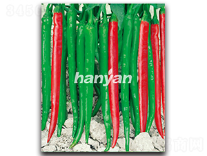 �h�S��̖-�����N��-�h��