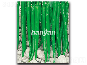 �h�S��̖-�����N��-�h��