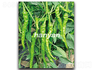 �h��һ̖-�����N��-�h��