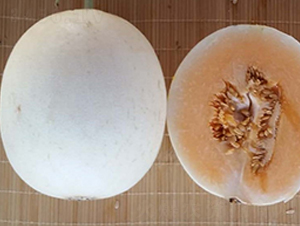 ����-��ϷN��-���N