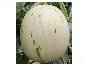 ����-��ϷN��-���N