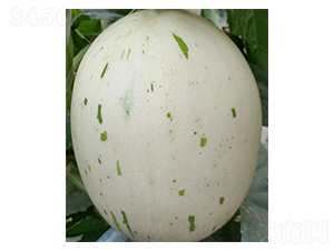 ����-��ϷN��-���N