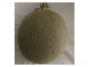 ����-��ϷN��-���N