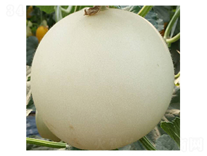 �d¡-��ϷN��-���N