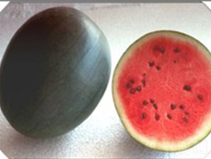 �ی�-���ϷN��-���N