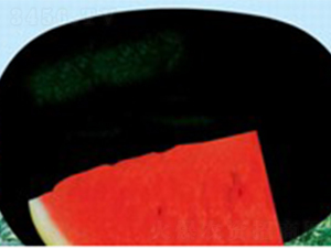 ������-���ϷN��-���N