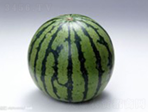 �黨-���ϷN��-���N