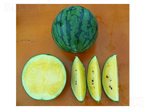 �P�m-���ϷN��-���N