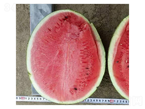 ���v-���ϷN��-���N