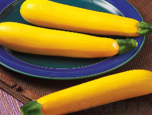 ��ɫ�����J��-�����J�N��-���N