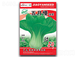 �������Ͳ�-�Ͳ˷N��-�z��