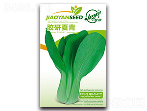 �z������-�Ͳ˷N��-�z��