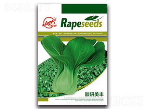 �z�����S-�Ͳ˷N��-�z��