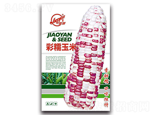 �z�в�Ŵ����-Ŵ���׷N��-�z��