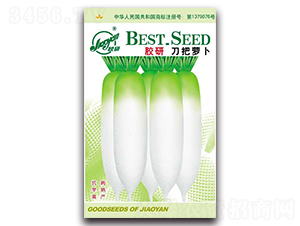 �z�е����}��-�}���N��-�z��