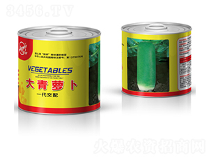 �����}��-�}���N��-�z��