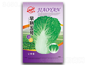 ������̖�ײ�-С�ײ˷N��-�z��