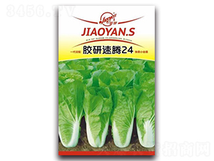 �z�����v24-С�ײ˷N��-�z��