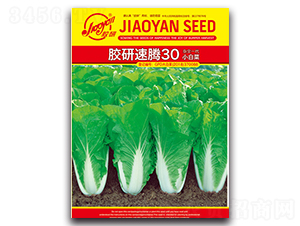 �z�����v30С�ײ�-С�ײ˷N��-�z��