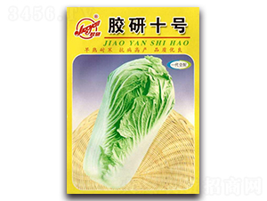 �z��ʮ̖-�ﲥ�ײ˷N��-�z��