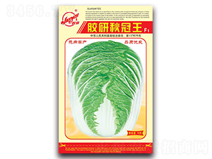 �z�������-�ﲥ�ײ˷N��-�z��