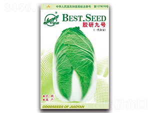 �z�о�̖-�ﲥ�ײ˷N��-�z��