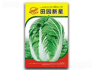 ��@����-�ﲥ�ײ˷N��-�z��