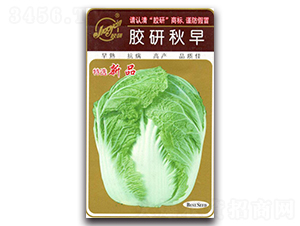 �z������-�ﲥ�ײ˷N��-�z��