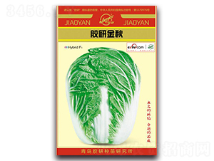 �z�н���-�ﲥ�ײ˷N��-�z��